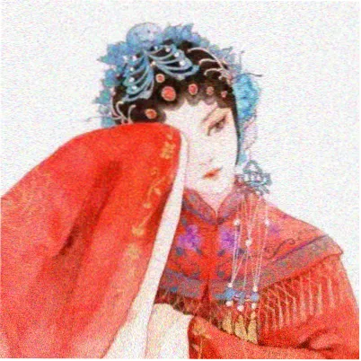 读者周雨桐头像